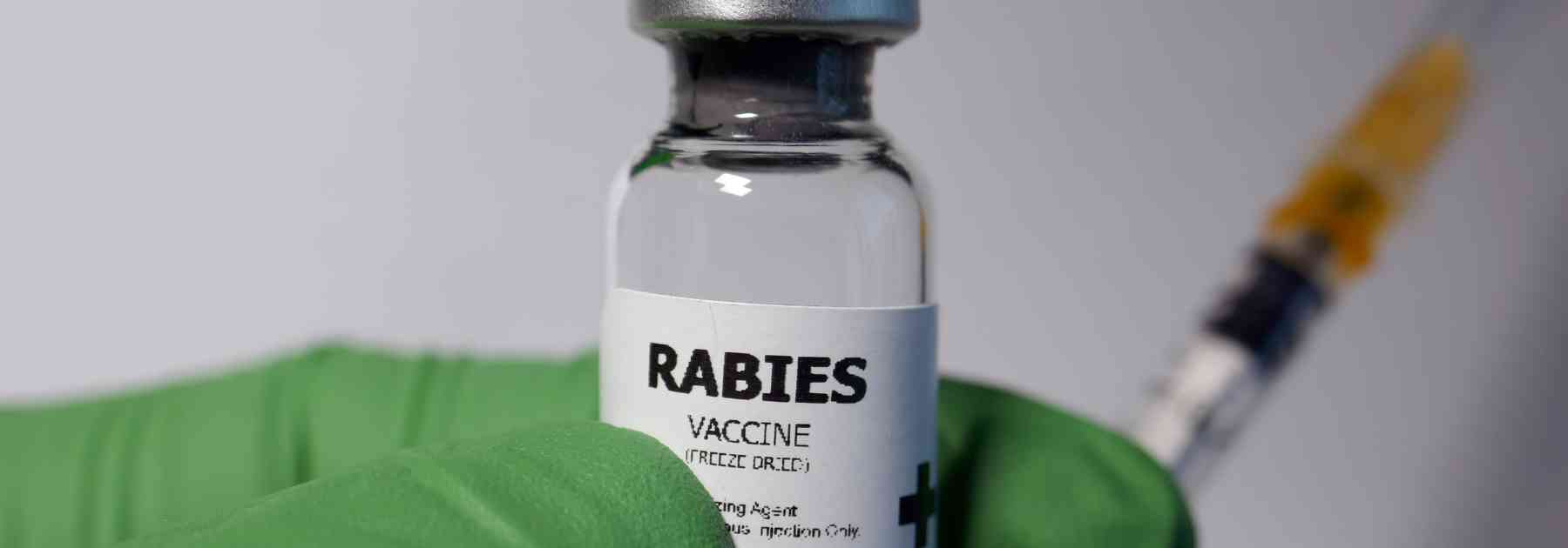 how long does a rabies shot last